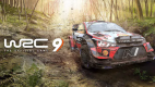WRC 9 FIA World Rally Championship (Steam)