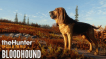 BUY theHunter: Call of the Wild - Bloodhound Steam CD KEY