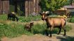 BUY Planet Zoo: Barnyard Animal Pack Steam CD KEY