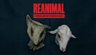 REANIMAL - Foxhead and Muttonhead Masks REANIMAL - Foxhead and Muttonhead Masks
